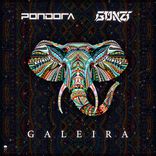 Artwork voor "Galeira"