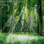 Love In Sunlight Rays