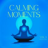 Artwork for "Calming Moments, Vol. 3"