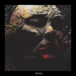 Artwork voor "Dreams"