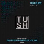 Artwork for "T U S H in DIVE, Vol. 1"