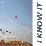 Artwork for "I Know It"