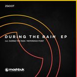 Artwork für "During The Rain"