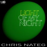 Artwork for "Light Of My Night"