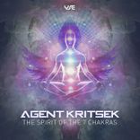 Artwork voor "The Spirit of the 7 Chakras"