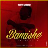 Artwork for "Bamishe (Freestyle)"