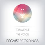 Artwork for "The Voice"