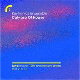 Artwork for "Calypso Of House (Remixes)"