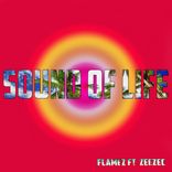 Artwork for "The Sound Of Life"