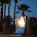 Artwork for "Rare Normal"