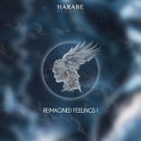 Artwork for "Harabe Reimagined Feelings I"