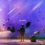 Artwork for "Say You Do"