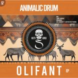 Artwork for "Olifant"