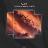 Artwork for "The Unknown Delusion"