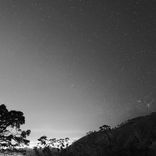 Welcome To The Secret Location Of The Dub Forest World