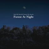 Portada para "Forest at Night"