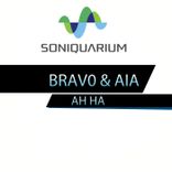 Artwork voor "Ah Ha"