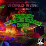 Artwork für "Compilation Potentially Explosive, Vol. 13"