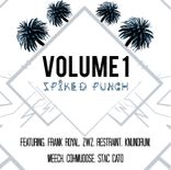 Artwork voor "Spiked Punch, Vol. 1"