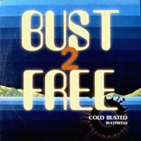 Artwork for "Bust Free 2"
