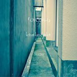 End of The Beginning