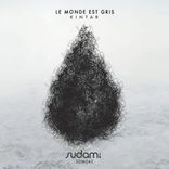 Artwork for "Le Monde Est Gris"