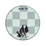 Artwork for "Kcik 16"