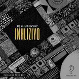 Artwork for "Inhliziyo"