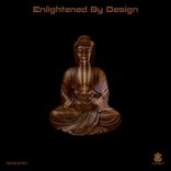 Artwork for "Enlightened By Design"