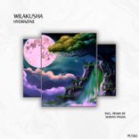 Artwork for "Hydrazine"