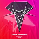 Artwork for "Throw Your Hands"