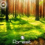 Portada para "Forest"
