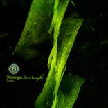 Artwork for "Terra Incognita EP"