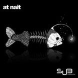 Artwork for "At Nait"