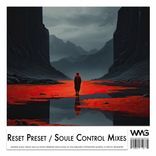 Artwork for "Soule Control Mixes"