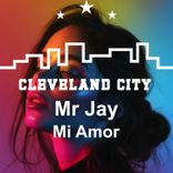 Portada para "Mi Amor"