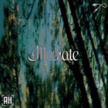 Artwork for "Mediate"
