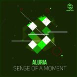 Artwork for "Sense of a Moment"