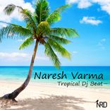 Portada para "Tropical DJ Beat"