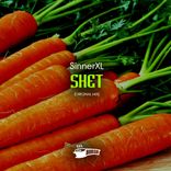 Artwork for "Shet"