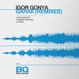 Artwork voor "Garak (Remixes)"