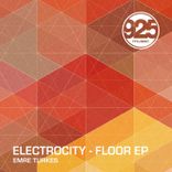 Electrocity