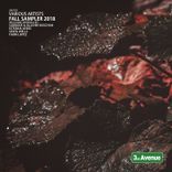 I Hear What Feels Right