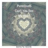 Can't You See My Heart