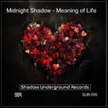 Portada para "Meaning of Life"