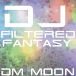 Artwork voor "DJ Filtered Fantasy"