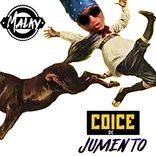 Portada para "Naquele Pique"