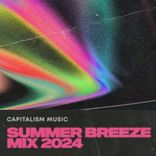 Artwork for "Capitalism Music Summer Breeze Mix 2024"