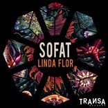 Artwork for "Linda Flor"