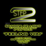 Artwork for "Feeling You"